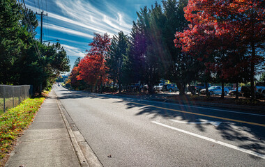 Burien Street Autumn Hues
