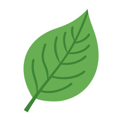 Single Green Leaf Illustration Centered on Black Background for Botanical Themed Designs