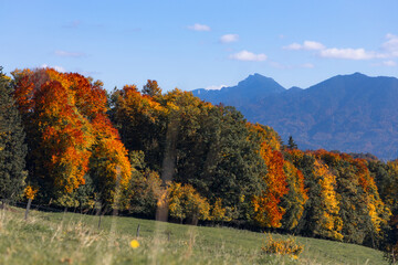 Obraz premium Benediktenwand im Herbst