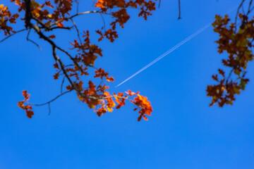 Flugzeug im Herbst