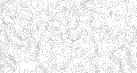 Geographic Lines and Curves Illustration. Minimal Topography Outline Design