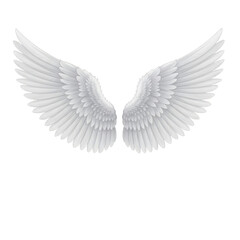Fototapeta premium White Angel Wings Spread isolated on a transparent background