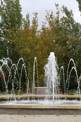 A path between autumn trees that form a corridor of colorful leaves on a ground full of dry leaves in a park in the city of Madrid.