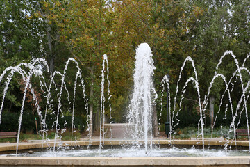 A path between autumn trees that form a corridor of colorful leaves on a ground full of dry leaves in a park in the city of Madrid.