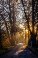 Wsch&oacute;d słońca na drodze