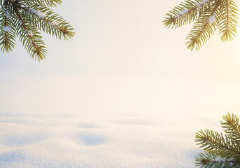 Obraz premium Snow covered spruce branches on bright winter background