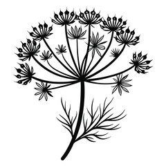 Black and white dill plant shows its unique silhouette against a simple background