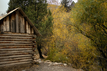 A wooden house in the mountains in autumn