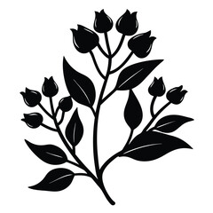 Black floral silhouette shows foliage with tiny bulbs and broad leaves on a white backdrop