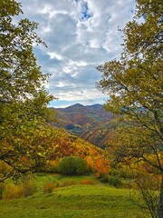Fototapeta premium Autumn mountain landscape with colorful forest and clouds in the blue sky. Muntele Rece, Cluj, Romania