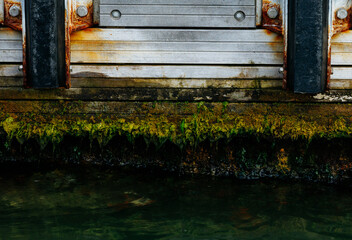 Seaweed and rust on wooden dock wall with weathered planks