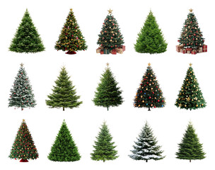 Obraz premium PNG Diverse festive Christmas trees, element set on transparent background