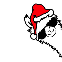 Llama Cool Sunglasses Santa Hat Side Profile Christmas Furry Animal