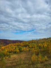 Cluj seen from the top of the mountain at Muntele Rece, over colorful autumn forest on a cloudy fall day. Painting-like vertical photo. Muntele Rece, Cluj, Romania
