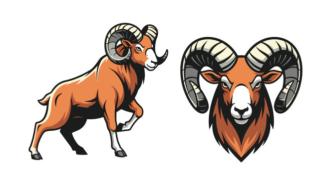 Illustrations of a robust orange ram in dynamic stance and a headshot portrait with impressive horns, exuding strength and character.