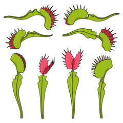 Set of color illustrations of venus flytrap. Isolated vector objects on white background. © rizik_pic