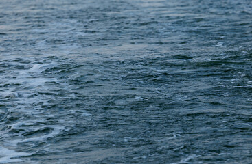 Dynamic ocean waves in motion with deep blue tones and white crests