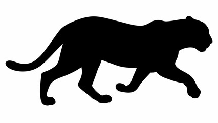 Obraz premium Silhouette of a black panther walking with its tail curled up and its head facing towards the right side