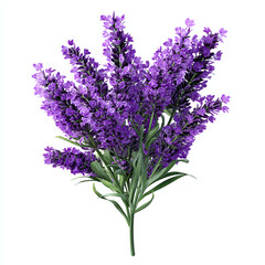 Obraz premium Vibrant lavender flowers in full bloom offer a calming and fragrant touch to any design project.