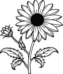 A vibrant wild perennial sunflower with a long stem and multiple blooms isolated on white background isolated on transparent background