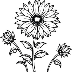 Vibrant wild perennial sunflower with long stem and multiple blossoms isolated on white background isolated on transparent background