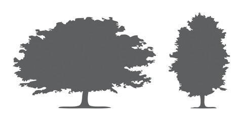 Architectural Drawings, Minimal style cad tree line drawing, Side view, set of section wetland forest outline for landscape design drawing Vector