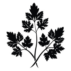 Black parsley branches intersect in a simple yet sophisticated presentation, highlighting natural form