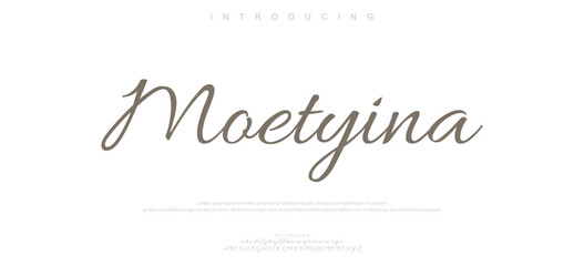 lining bold capital alphabet letter logo design
