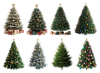Fototapeta premium PNG Festive decorated Christmas trees collection, element set on transparent background