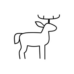 Animals Hand Drawn