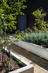 Zielony klomb między budynkami © Studio Migafka