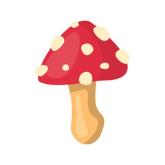 Red spotted amanita mushroom perfect for nature blogs, educational materials, science journals, and mushroom identification guides.