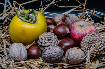 Still life of typical autumn fruits 2