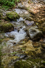 Over millions of years, the Orfento River (in the municipality of Caramanico Terme) has carved out a narrow gorge now covered by dense riparian vegetation featuring willows, ferns, and mosses.