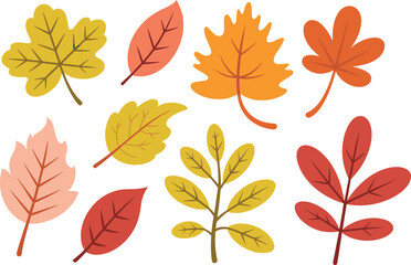 Obraz premium Autumn leaves illustration, red, orange, yellow, green foliage, seasonal nature design, botanical art, fall colors, leaf shapes, vector set
