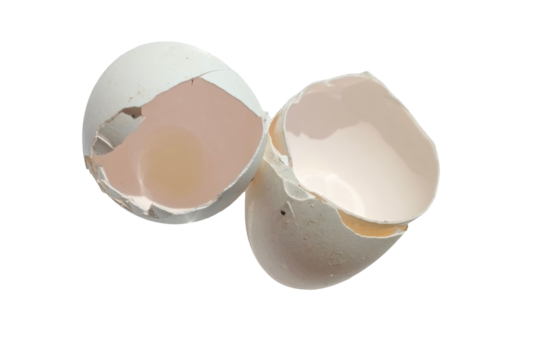 broken white egg shells on transparent background
