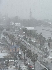 Coastal city street with cars, palm trees, and a tower during heavy snowfall. Used in travel, climate, and urban environment materials.