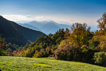 Green Mountain Meadow Landscape with Summer Sky