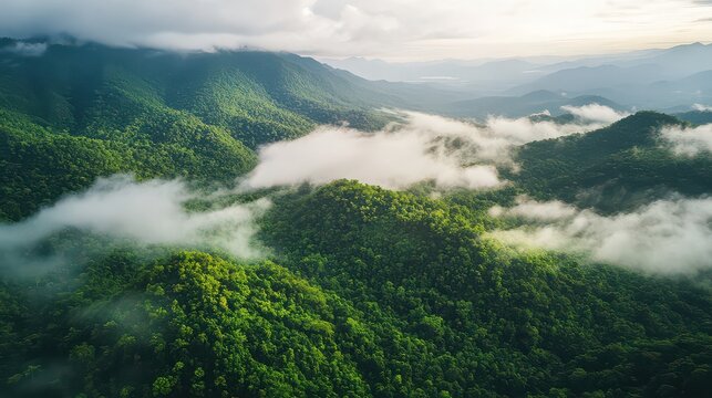 Lush green mountains covered in mist and clouds create a serene landscape