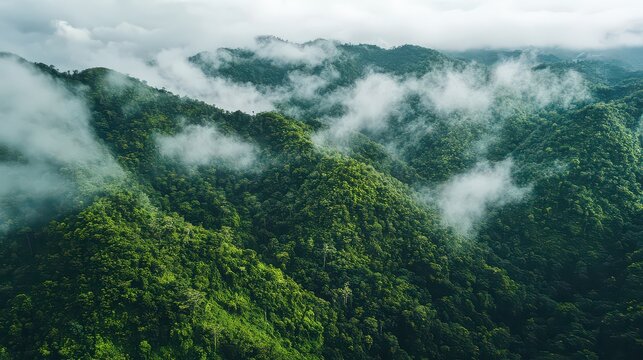 Lush green hills covered in mist and clouds on a cloudy day scenery - Powered by Adobe