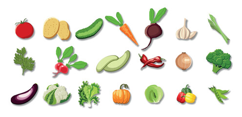 A big hand drawn set of vegetables in juicy cartoon style. The concept of healthy farm food and products. A bright element for your design. Tomato, cucumber, potato, carrot, pumkin, onion
