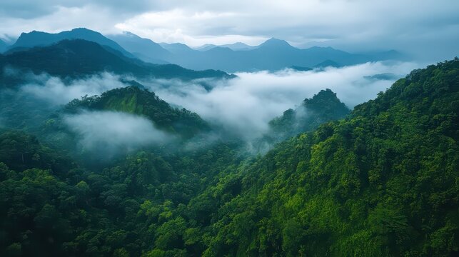 Misty mountain range with lush green forest and cloudy sky landscape