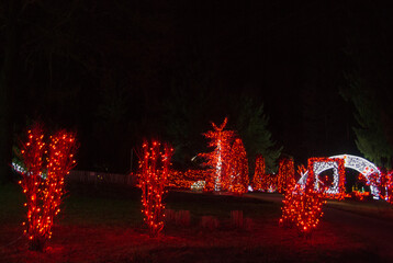 Christmas Lights at Mozirski Gaj Park, Slovenia – Winter Night Illumination © Darinko