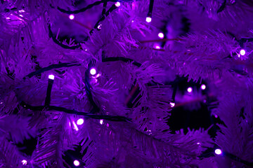 Christmas Lights at Mozirski Gaj Park, Slovenia – Winter Night Illumination © Darinko