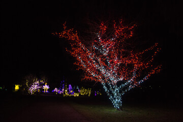 Christmas Lights at Mozirski Gaj Park, Slovenia – Winter Night Illumination © Darinko