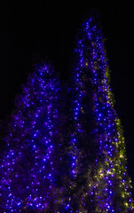 Christmas Lights at Mozirski Gaj Park, Slovenia – Winter Night Illumination © Darinko