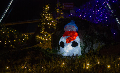 Christmas Lights at Mozirski Gaj Park, Slovenia – Winter Night Illumination © Darinko