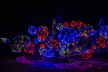 Christmas Lights at Mozirski Gaj Park, Slovenia – Winter Night Illumination