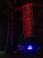 Christmas Lights at Mozirski Gaj Park, Slovenia – Winter Night Illumination © Darinko