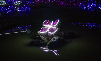 Christmas Lights at Mozirski Gaj Park, Slovenia – Winter Night Illumination © Darinko